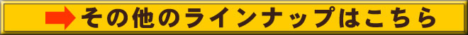 ̑̃Cibv͂