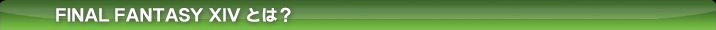 FINAL FANTASY&reg; XIV�Ƃ́H