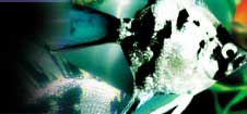 AQUAZONE XP }[uG[{PACK