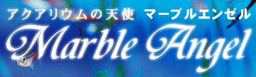ANAE̓Vg }[uG[