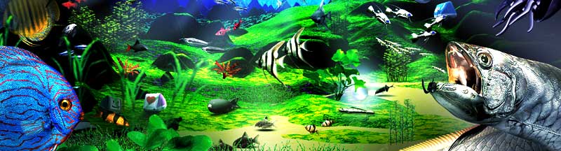 AQUAZONE XP image