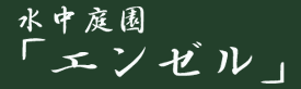 뉀uG[v