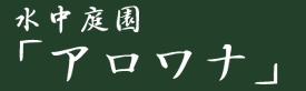 뉀uAiv