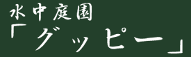 뉀uObs[v