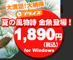 夏の風物詩 金魚登場！