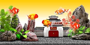 水槽セット
