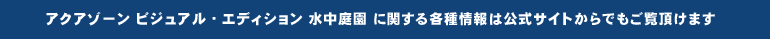 ANA][ rWAEGfBV 뉀 Ɋւe͌TCgł܂