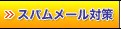 Xp[΍