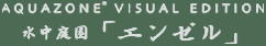 G[tBbV