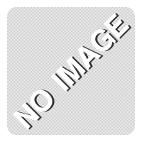 �ϥ���饷������ ���꡼���ƥ��å� Pro Duo 2GB HNT-MPD2GA