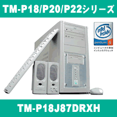 TM-P18/P20/P22���꡼��
