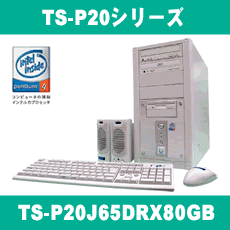 TS-P20꡼