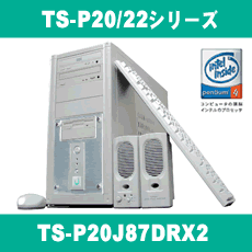 TS-P20/P22꡼