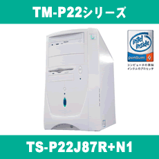 TS-P18/P20/P22���꡼��