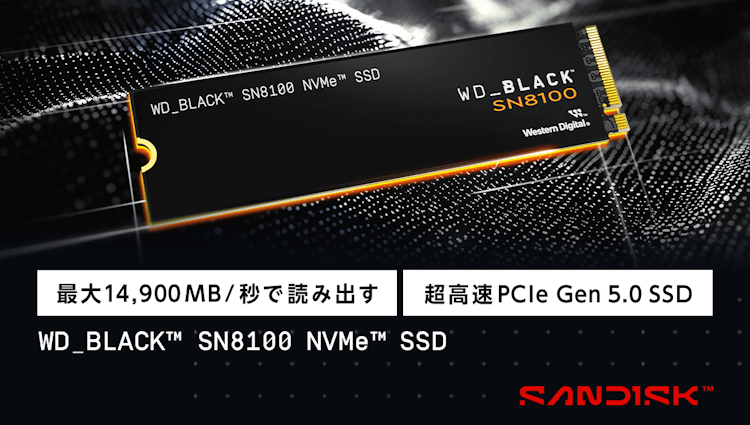 WD Black SN8100 SSD