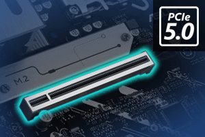 PCI Express 5.0Ή