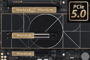PCIe5.0Xbg